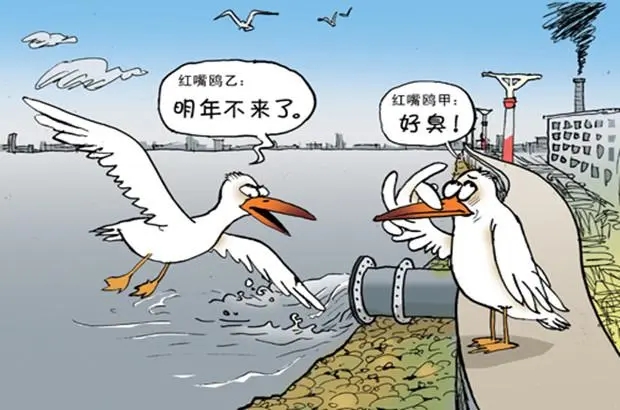水污染從不缺少“花樣”，有凈水器的家庭能否安全避禍？