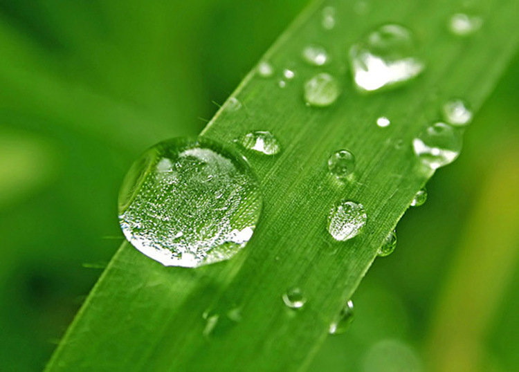 水中的重金屬，凈水器如何過濾