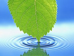 漢斯頓凈水專家 教你正確認(rèn)識(shí)純水與凈水