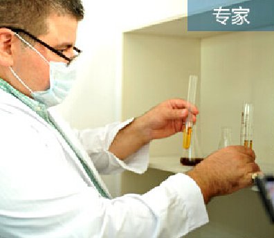 解讀漢斯頓的自主研發(fā)情結(jié)