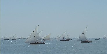 百舸爭流，不進(jìn)則退，未雨綢繆才能贏發(fā)展