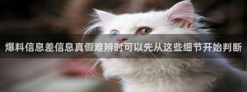 吃瓜大全：爆料信息差信息真假难辨时可以先从这些细节开始判断