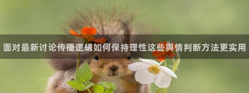 吃瓜观影站最新视频