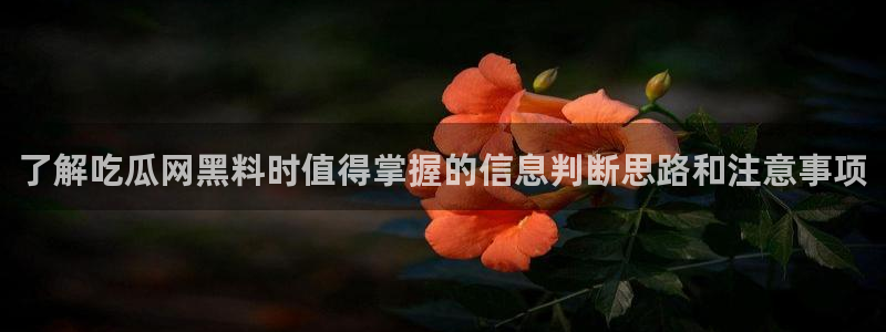吃瓜在线视频:了解吃瓜网黑料时值得掌握的信息判断思路和注意事项