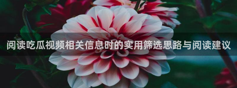 吃瓜爆料真实