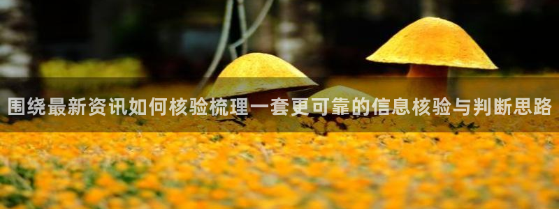 吃瓜网官网：围绕最新资讯如何核验梳理一套更可靠的信息核验与判断思路