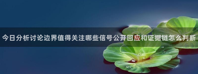 51吃瓜今日黑料：今日分析讨论边界值得关注哪些信号公开回应和证据链怎么判断