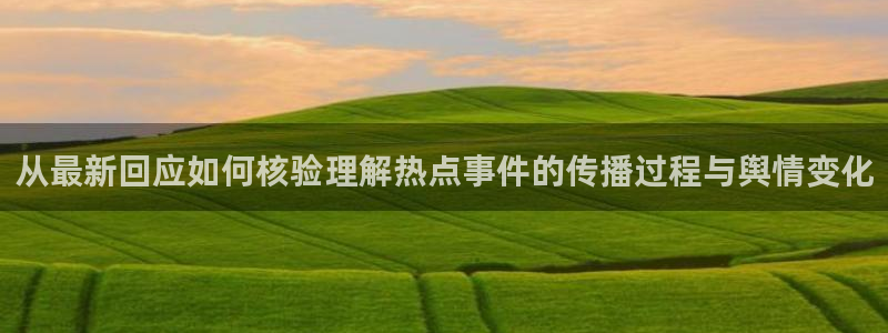 吃瓜网官网:从最新回应如何核验理解热点事件的传播过程与舆情变化